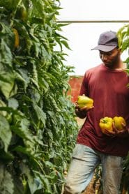 The Best investment opportunities in Uganda 2025