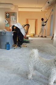 How to Manage Home Improvement with Little Money